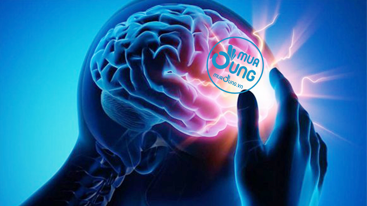 Thuốc bổ não Ginkgo Biloba