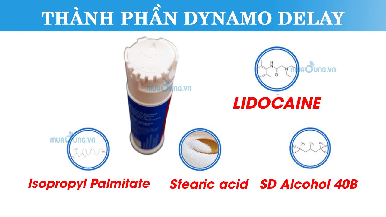 thành phần dynamo delay