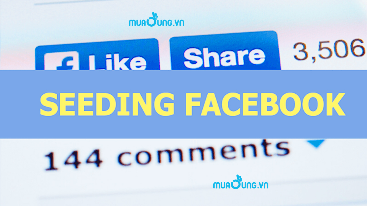 Seeding Facebook là gì?