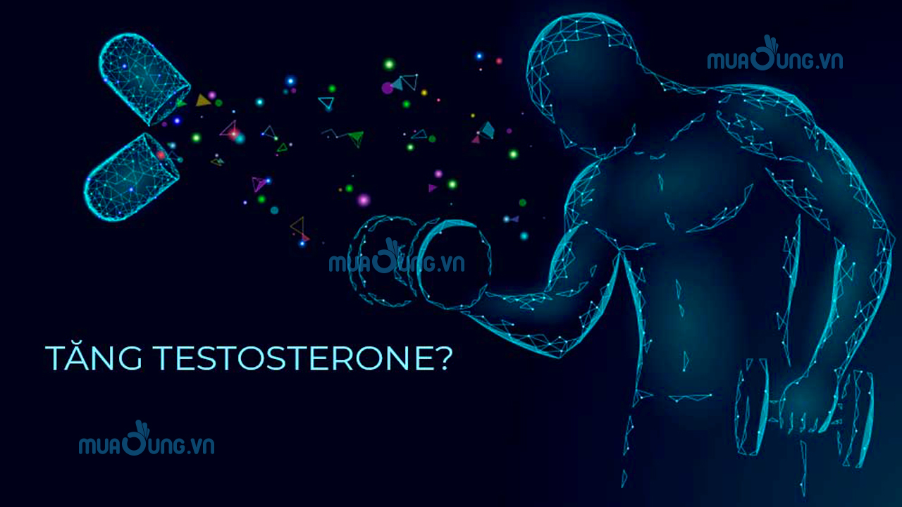 Hormone nam Testosterone là gì?