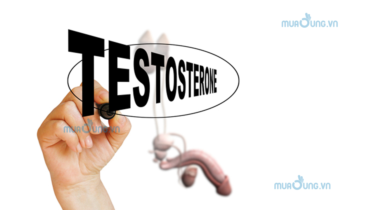 Nồng độ Testosterone bị suy giảm