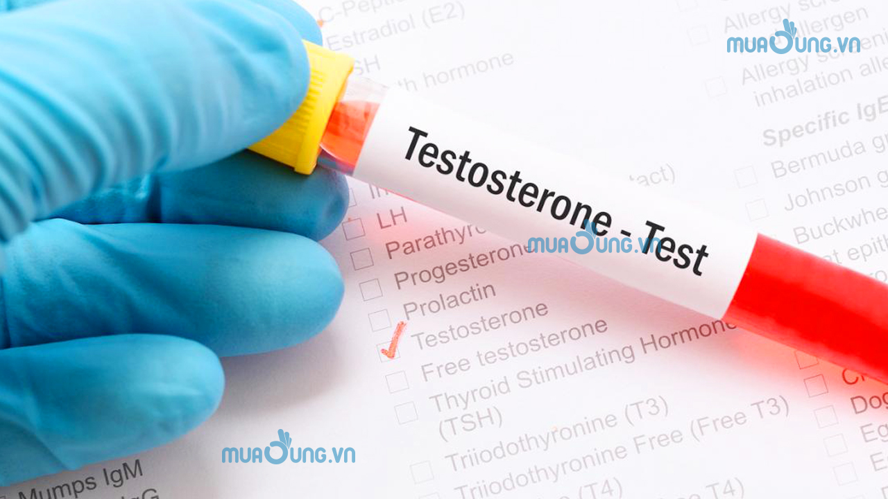Nồng độ Testosterone trong máu bình thường