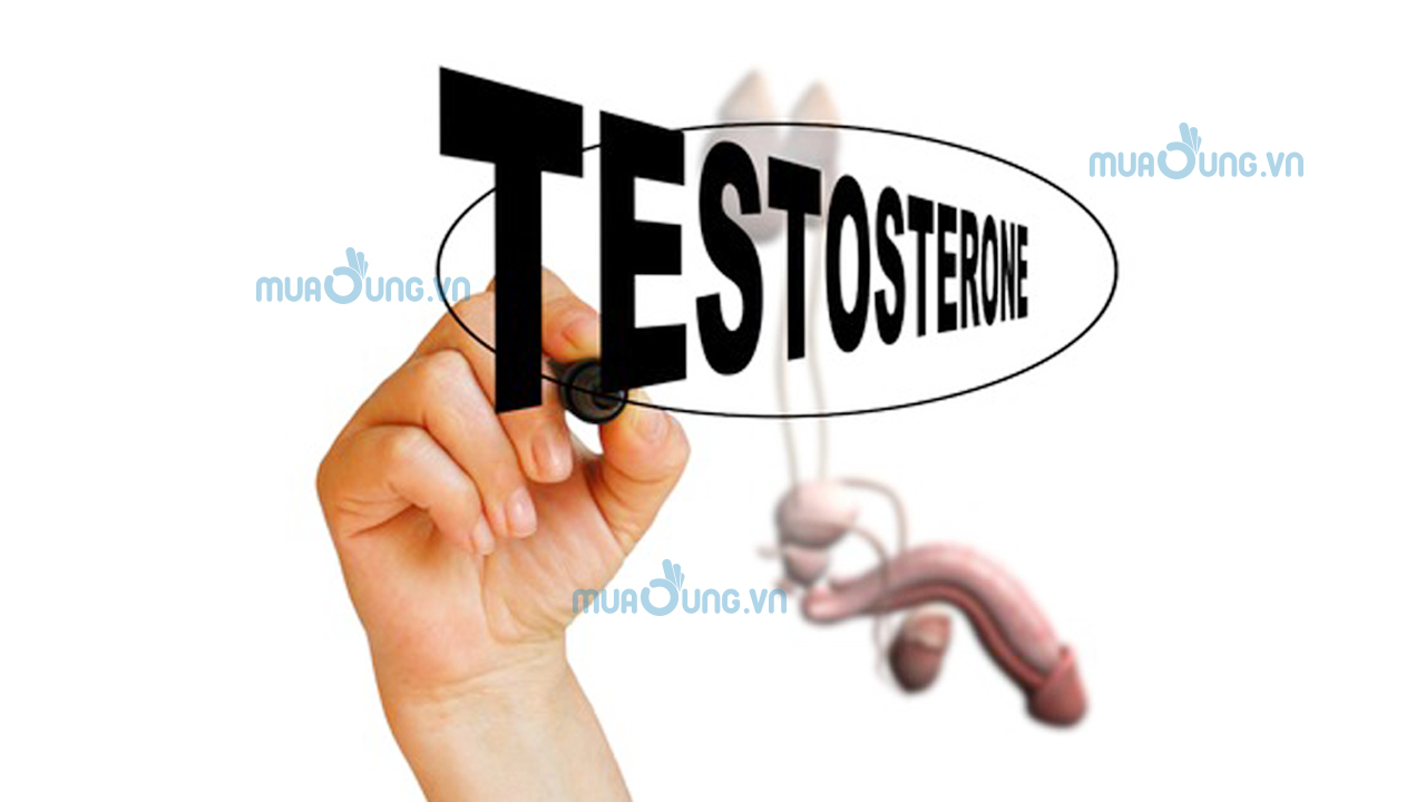 Testosterone giúp tạo nên những đặc điểm riêng biệt của nam giới