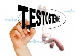 Hormone nam Testosterone và 7 câu hỏi chúng ta thường gặp