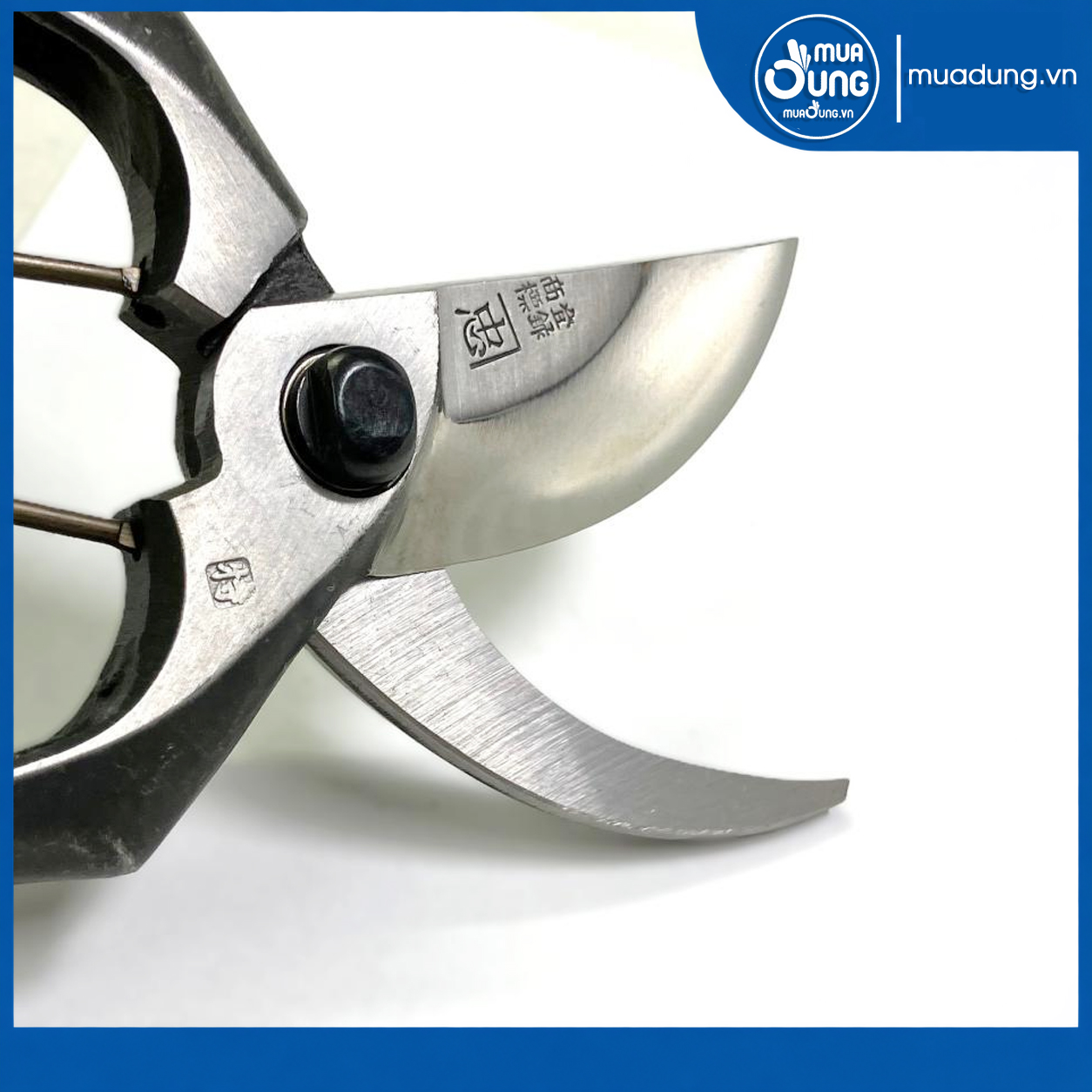 Thép carbon cao (High Carbon Steel)