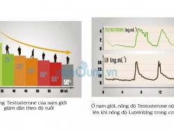 Thông tin Testosterone & Luteinizing là gì?