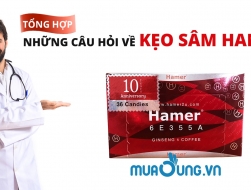 Những câu hỏi khách hàng thường thắc mắc khi sử dụng kẹo sâm hamer