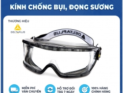 Kính Chống Hóa Chất Delta Plus GALERAS 